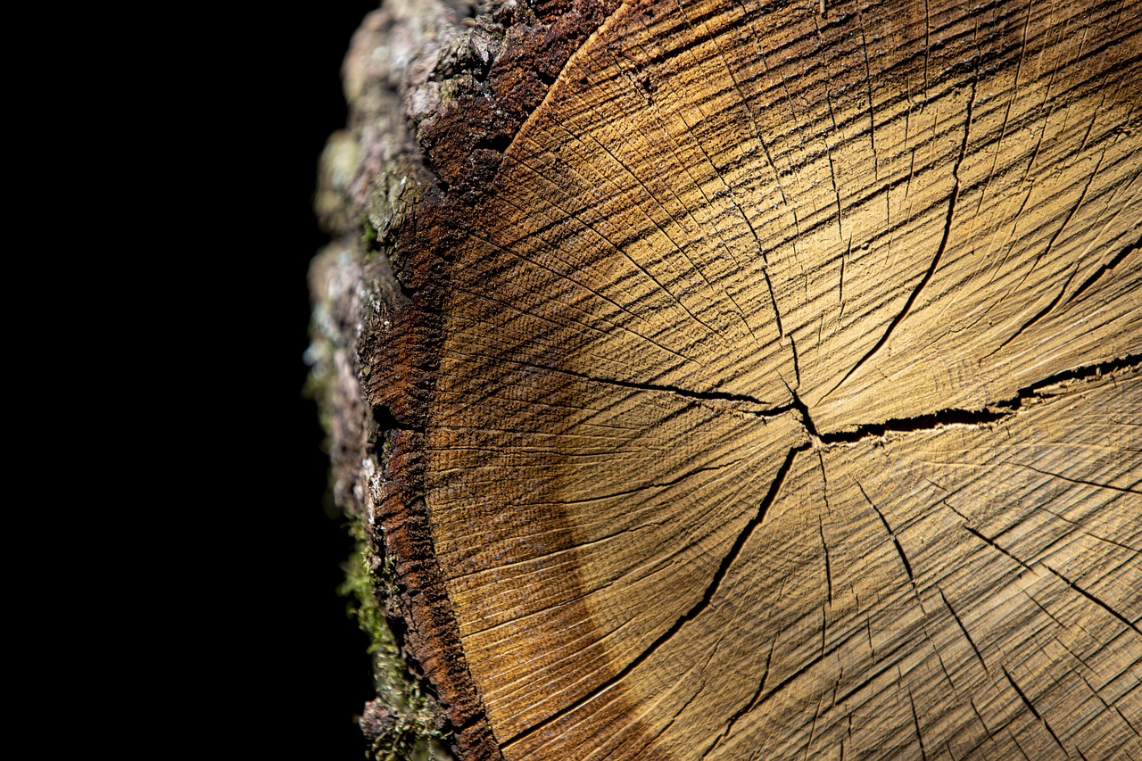 Climate Change - The Role of Environmental Philosophy